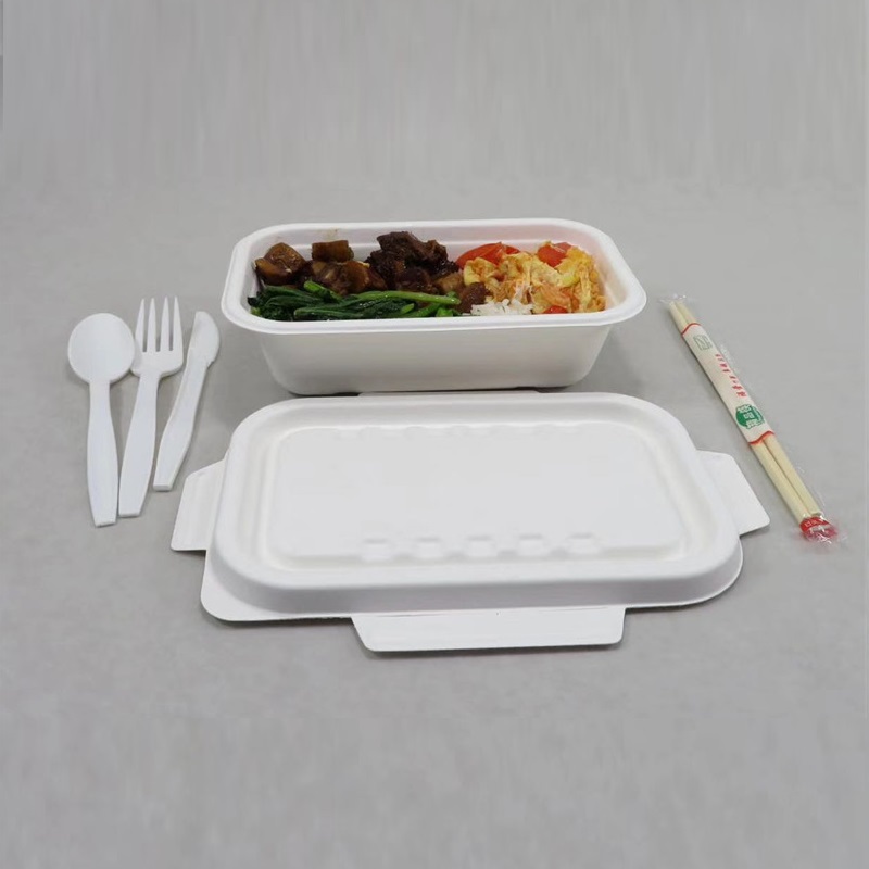 1000 ML Bagasse 식품 용기