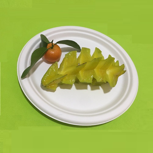 친환경 식기