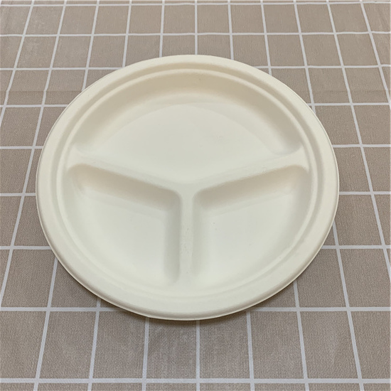 사탕수수 접시는 친환경적인가요?