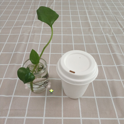 생분해성 사탕수수 펄프 컵과 뚜껑