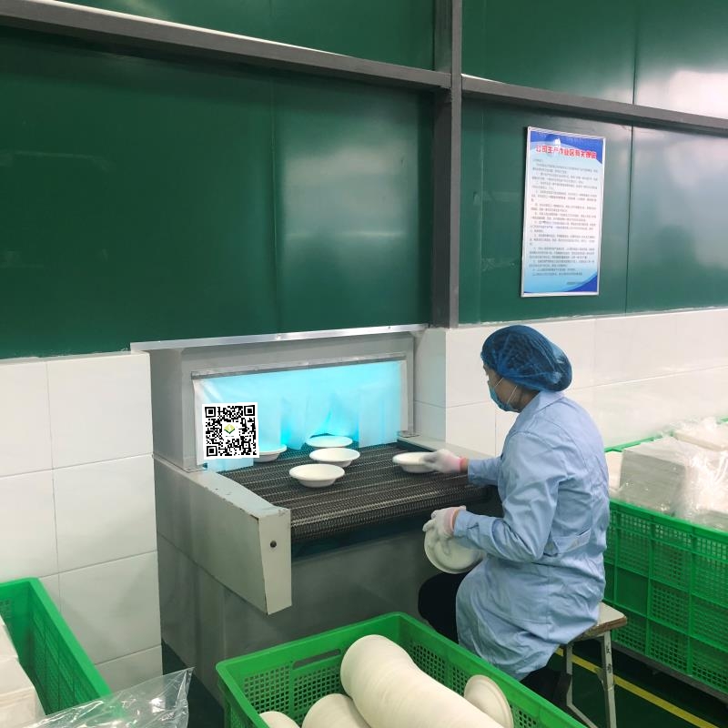 고객이 사탕수수 사탕수수 식기 공장을 방문합니다.