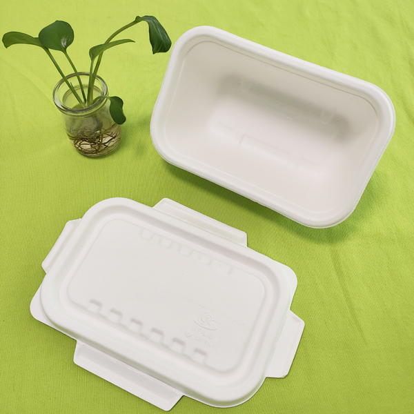 Shenglin Packaging의 대외 무역 부서는 사탕수수 식기에 관한 지식 교환 회의를 조직했습니다.