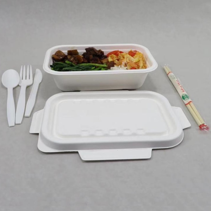 Shenglin Packaging의 Bagasse 식기 케이스 공유 회의