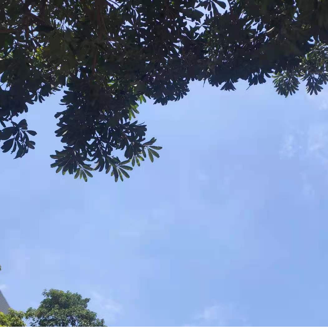 세계 지구의 날