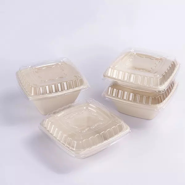 Bagasse 사각 그릇