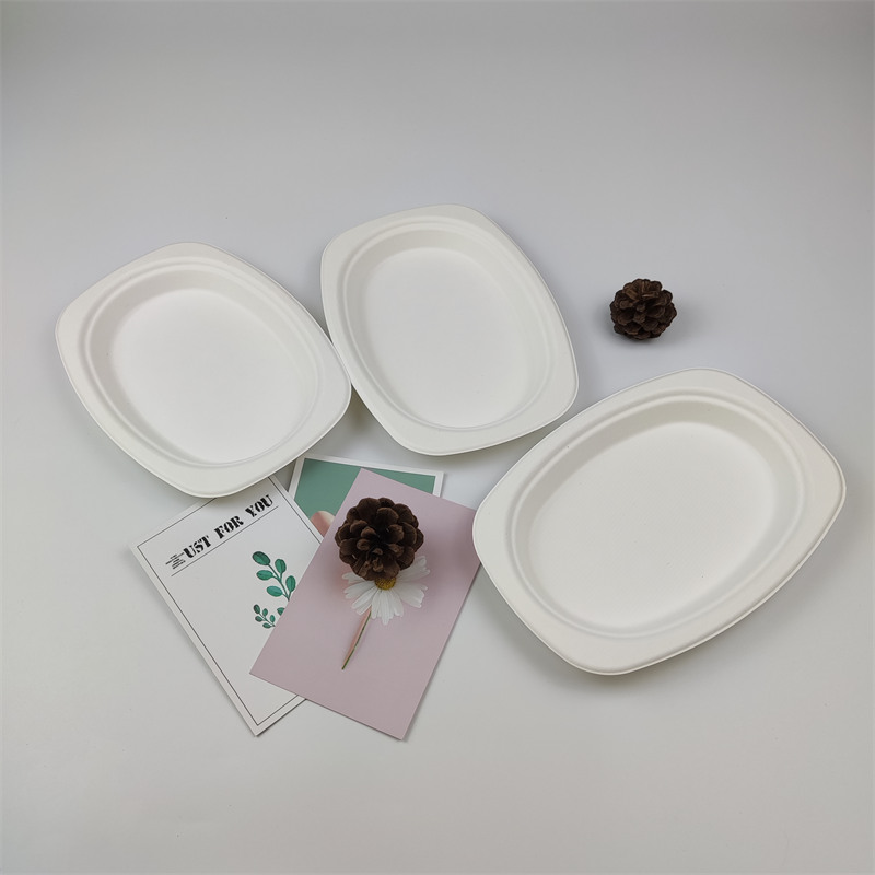 Bagasse 펄프 제품의 장점