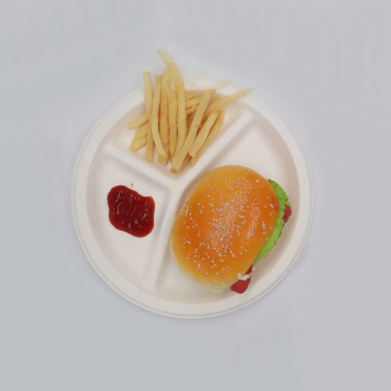 9인치 3칸 사탕수수 접시