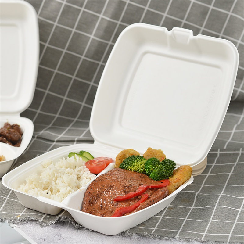 Bagasse 9인치 2칸 테이크아웃 상자