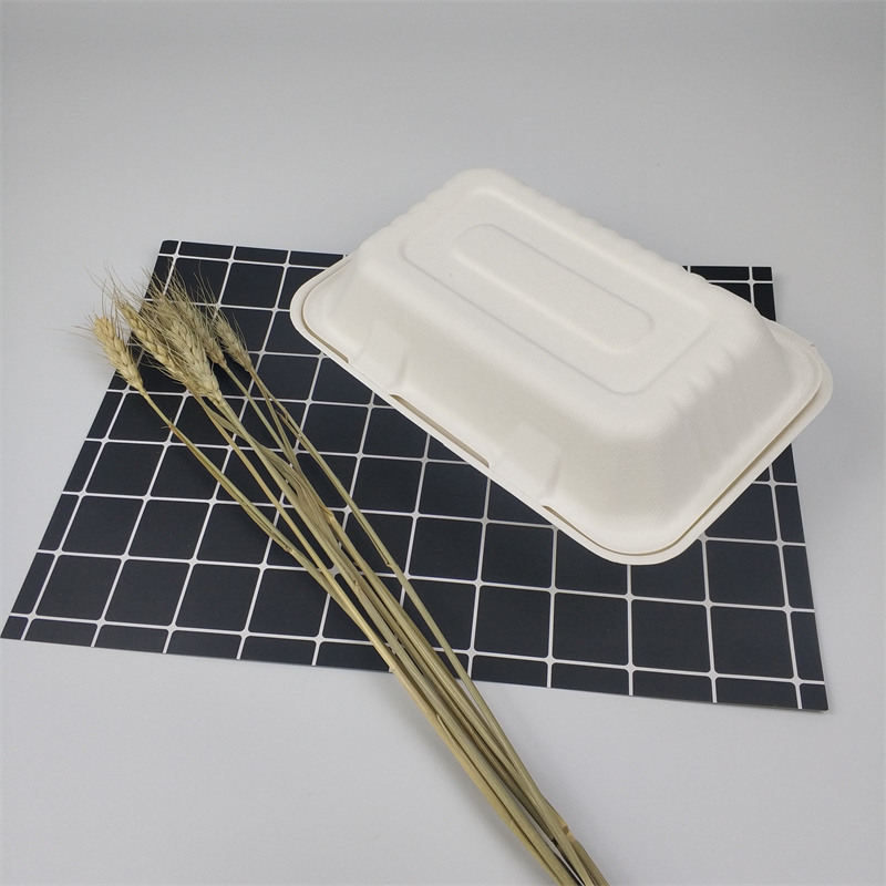 생분해성 일회용 사탕수수 사탕수수 찌꺼기 9*6인치 이동 식품 상자
