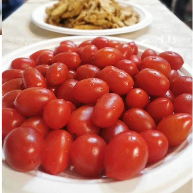 섬유 펄프 사탕수수 식기 접시