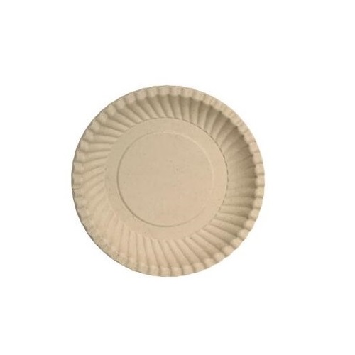 사탕수수 펄프 접시